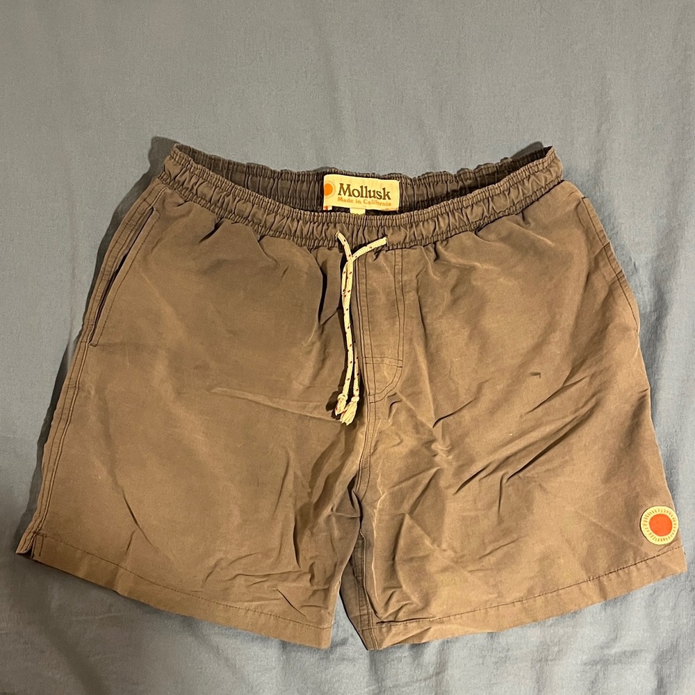 Mollusk Brown Men's Shorts